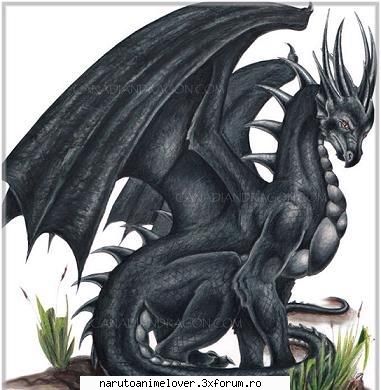 elementul tau este ce element ti se