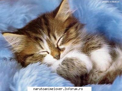 nota poza ♥♪♫SwEeT AdMiN♫♪