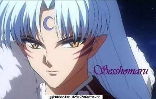 el este fratele lui inuyasha .
ei tot se lupte pt. ca intimp ce sesshomaru sa dus sa lupte cu tribul