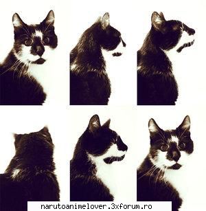 nota poza 8dshi mie x3go mr.kat (lol xd)shi poza 9.50