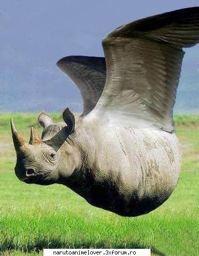 *u* 1000000 xd



 :rotfl: nota pt poza